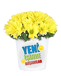 Yeni İş Çiçeği Seramikte Papatya