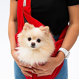 23021 Kırmızı Crossbody Çanta