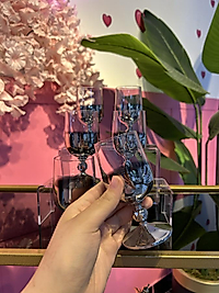 6 lı gümüş titanyum kaplama bardak