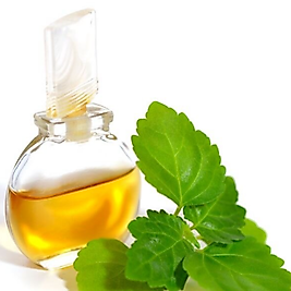 %100 Paçuli Yağı (Patchouli Yağı - Tefarik) (Pogostemon Cablin) Seyreltilmemiştir ve Esans İçermez!