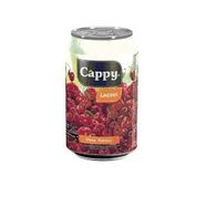 Cappy Vişne (33 cl.)