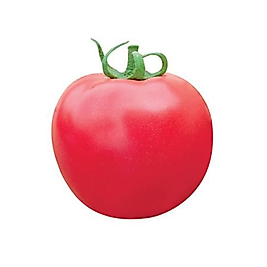 Domates Pembe Kg