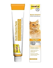 Gimcat Kedi Macunu Multivitamin 100gr