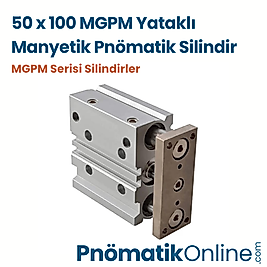 50x100 MGPM Yataklı Manyetik Pnömatik Silindir