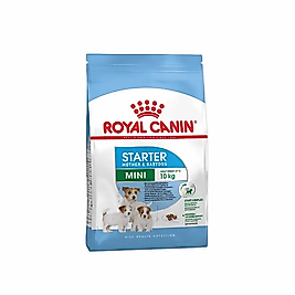 Royal Canin Mini Starter Köpek Maması 1 kg