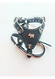 Gladyatör Ayarlanabilir Yavru ve Küçük Irk Köpek Tasması Siyah