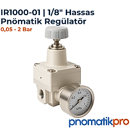 IR1000-01 | 1/8" Hassas Pnömatik Regülatör