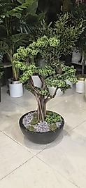Siyah Yarım Karbonfiber saksıda Bonsai