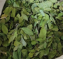 Fırsat Kapısı SİDR YAPRAĞI SİDİR YAPRAĞI  150 GR