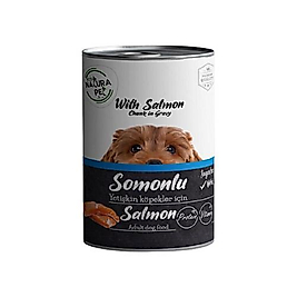 Eco Natura Pet Somonlu Yetişkin Köpek Konserve Maması (400 g)