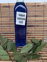Yaban mersini özü