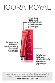 İGORA ROYAL ABSOLUTE SAÇ BOYASI 60 ML.  (12-19 ÖZEL AÇICI SANDRE VİYOLE)