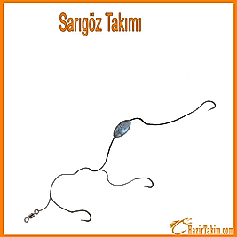 Sarıgöz Takımı