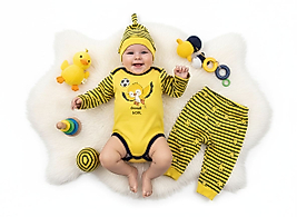 FANATİK KANARYA 3'LÜ TAKIM