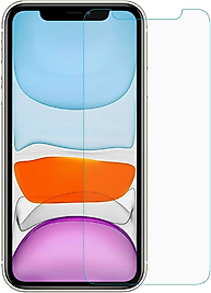 Blueteam  İphone 11 PRO Max Ekran Koruycu 9h