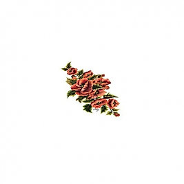 Gülsün Ülkü 25*35 G-68