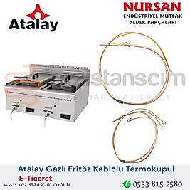 Atalay Gazlı Fritöz Kablolu Termokupul Çift Çıkışlı