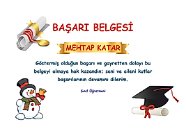 BAŞARI BELGESİ