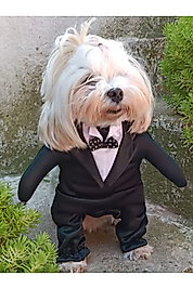 Onden Giydirmeli Smokin Siyah yaka Köpek Kıyafeti Kostümü