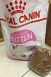 Royal Canin Kitten Açık Kedi Maması 1 Kg.