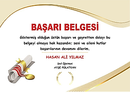 BAŞARI BELGESİ