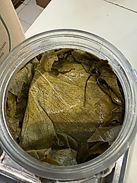 2 kg NET Asma Yaprağı