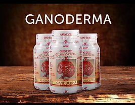 Ganoderma Kapsül Gıda Takviyesi