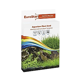 EuroStar Bitki Tohumu Eleocharis Parvula