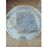 Çiçek Balı 1kg