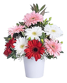 Seramikte Renkli Gerbera Aranjmanı