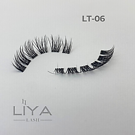 LT-06