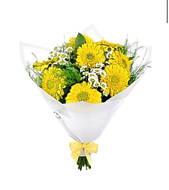 Yelleow Gerbera