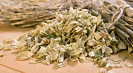 Fırsat Kapısı ŞERBETÇİ OTU 150 GR