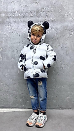Mickey mont