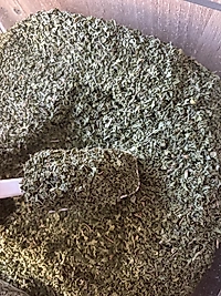 Nane 100g