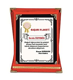 BAŞARI PLAKETİ