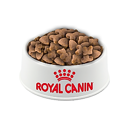 Royal Canin Hassas Sindirim Açık Yetişkin Kedi Maması 500Gr