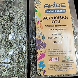 ACI YAVŞAN OTU