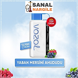 Vozol 12000 Puff Blueberry Storm