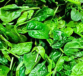 ISPANAK (500 gr)