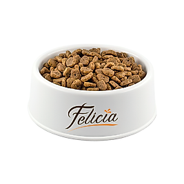 Felicia Hipoalerjenik Düşük Tahıllı Tavuk Etli Açık Kısırlaştırılmış Kedi Maması