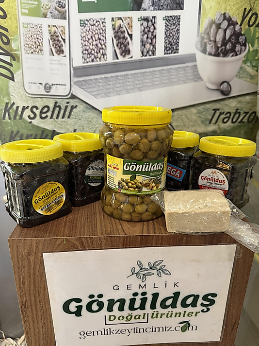 Tanışma Zeytin çeşitleri