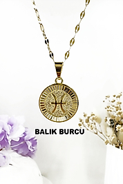 Balık Burcu Çelik Kolye 40 cm+6 cm Uzatma Zincirli