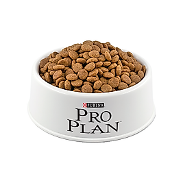 Purina Pro Plan Somonlu Açık Yetişkin Kedi Maması 500Gr
