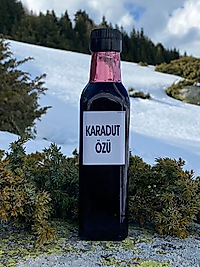 %100 KARADUT ÖZÜ (350 GR)