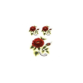 Gülsün Ülkü 17*25 G-07