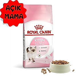 Royal Canin Kitten (Açık Kedi Maması)