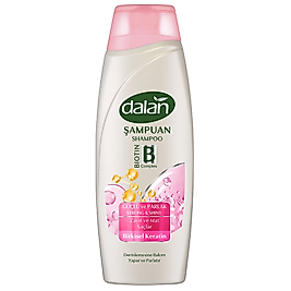 Dalan Güçlü ve Parlak Şampuan 450 Ml