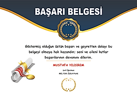 BAŞARI BELGESİ