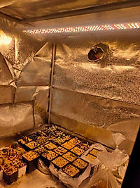 80W Quantum Bar Samsung Lm301h & Epistar 660nm Full Spectrum LED Grow Işığı